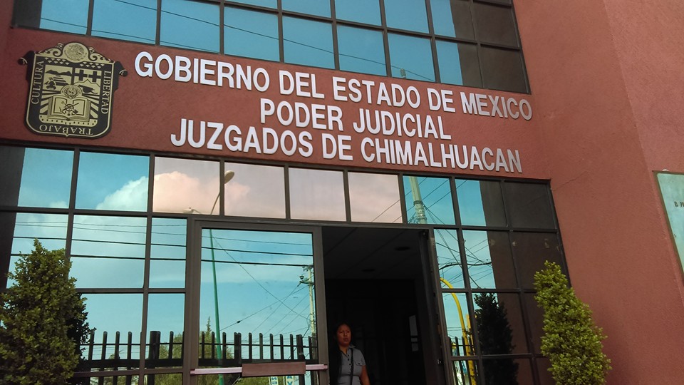 Litigio en Juicios Orales
